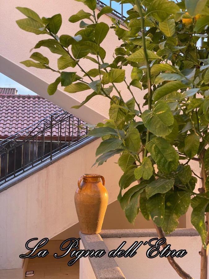 La Pigna Dell'Etna Appartement Nicolosi Buitenkant foto
