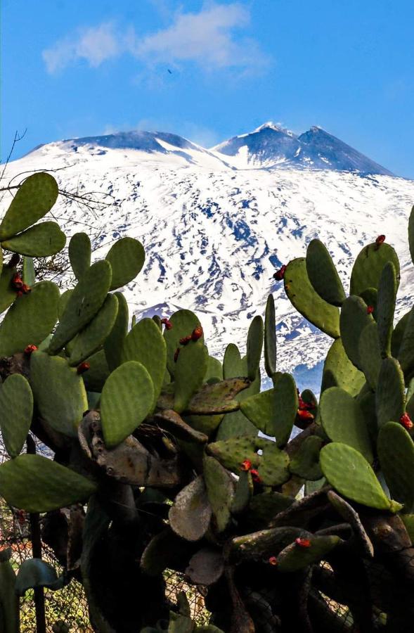 La Pigna Dell'Etna Appartement Nicolosi Buitenkant foto